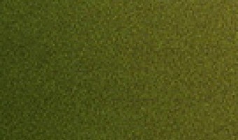 汽车膜-鹤山市威诗柏胶粘制品有限公司-绿变色龙